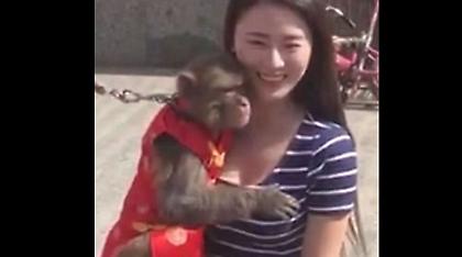 Μαϊμού «γύπας»... χούφτωσε τουρίστρια (video)