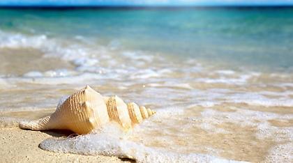 Καιρός: Αρχίζει να θυμίζει καλοκαίρι