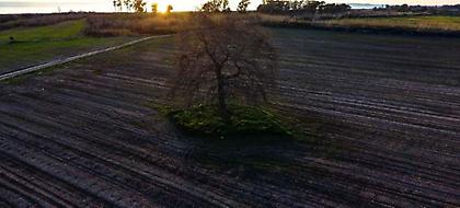 Αποστόλου: Παραχώρηση 1.000 στρεμμάτων σε νέους αγρότες για καλλιέργεια αρωματικών φυτών