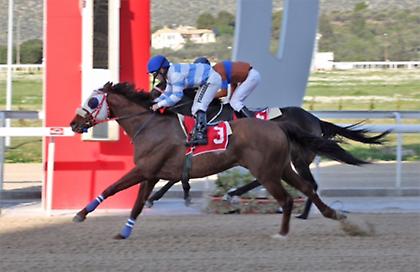 Σούπερ πρόγραμμα και αυτό το Σάββατο στο Μαρκόπουλο - Ιπποδρομίες κάθε Παρασκευή