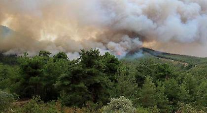 Αλεξανδρούπολη: Εψηνε παϊδάκια και έβαλε φωτιά στο δάσος