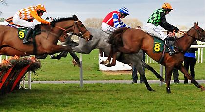 Εξαιρετικό το φεστιβάλ ιπποδρομιών με εμπόδια σήμερα στην AUTEUIL της Γαλλίας!