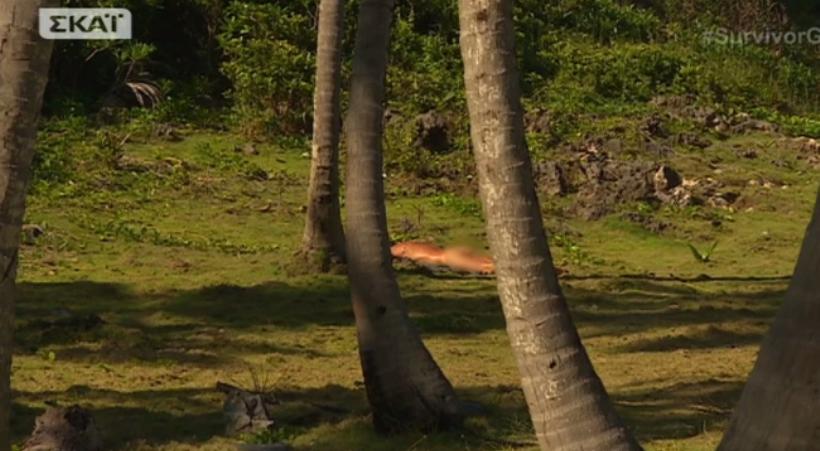 Survivor: Ο γυμνισμός του Σπαλιάρα και τα επικά σχόλια του Μισθοφόρου (video)