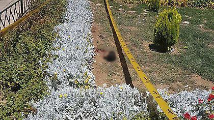 Φωτογραφία-σοκ: Το κεφάλι του βομβιστή αυτοκτονίας στο Ιράν