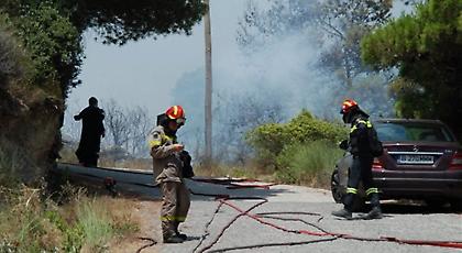 Ποινή φυλάκισης σε μελισσοκόμο για την πυρκαγιά στα Μέγαρα