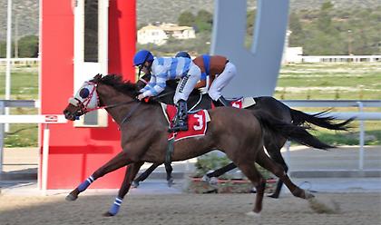 Συναρπάζει το πρόγραμμα των 8 ιπποδρομιών στο Μαρκόπουλο