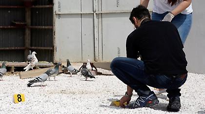 Ο πόνος της μάνας: Ο Μάριος δεν πρόλαβε να δει τη γιορτή του