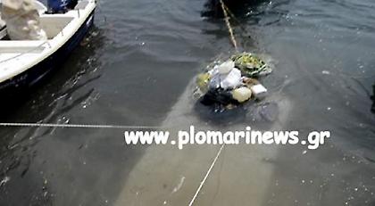 Πλωμάρι: Η στάθμη της θάλασσας κατέβηκε μετά το σεισμό (video)