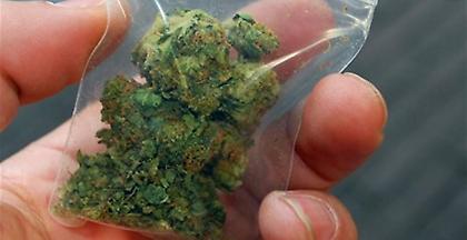 Φορτίο 569 κιλών κάνναβης εντοπίστηκε στα Ελληνοαλβανικά σύνορα