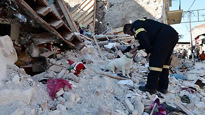 Θρηνεί στα ερείπια ο σκύλος της 43χρονης στη Βρίσα Λέσβου