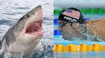 Αγώνα με… καρχαρία θα κάνει ο Φελπς!