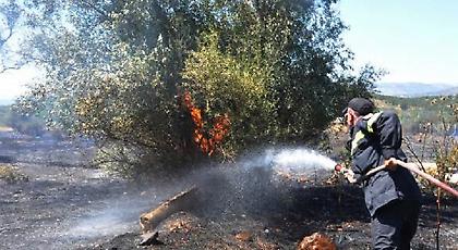 Μεγάλη πυρκαγιά στην Ζαχάρω Ηλείας –Συναγερμός στην πυροσβεστική