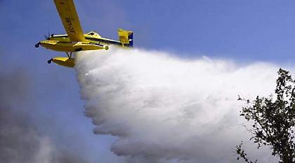 Τραγωδία στην Πορτογαλία: 19 νεκροί από δασική πυρκαγιά -Οι 16 παγιδεύτηκαν σε αυτοκίνητα