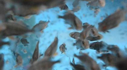 Κρήτη: Η θάλασσα 