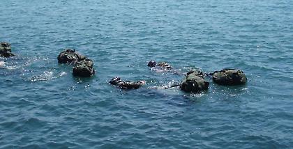 Έτσι εκπαιδεύονται οι βατραχάνθρωποι του Στρατού Ξηράς (Video)