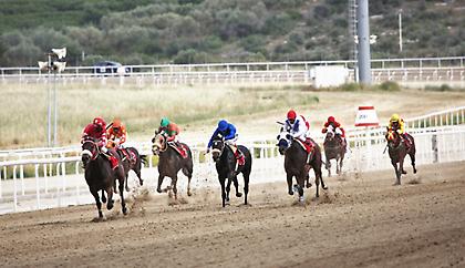 Στο «κόκκινο» το ενδιαφέρον για τις 6 Ελληνικές ιπποδρομίες στο Μαρκόπουλο