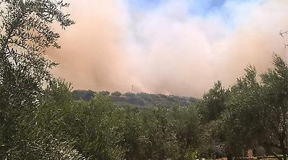 Σε εξέλιξη φωτιά στην Κορώνη: Δίπλα από σπίτια έφτασαν οι φλόγες