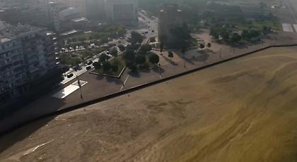 Τραγικές εικόνες -H παραλία της Θεσσαλονίκης γέμισε πλαγκτόν (video)