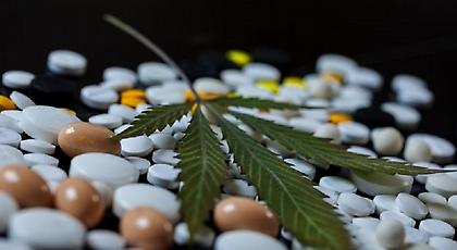 Ανοίγει ο δρόμος για τα φαρμακευτικά σκευάσματα κάνναβης