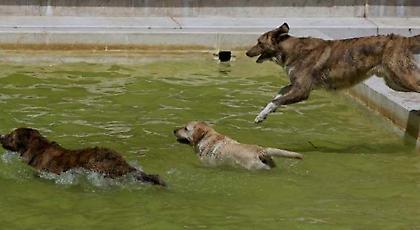 Το Twitter δίνει… ρέστα με τις ατάκες για τον καύσωνα: «Μάνα θα βγω -Κλιματιστικό να βάλεις»