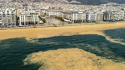 «Πυρετώδεις» προσπάθειες για τη μείωση του φυτοπλαγκτόν στον Θερμαϊκό