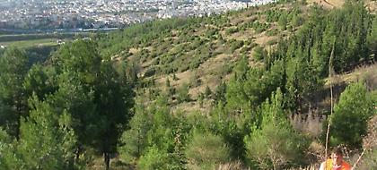 Απαγόρευση της κυκλοφορίας στο Σέιχ Σου -Λόγω κινδύνου εκδήλωσης πυρκαγιάς