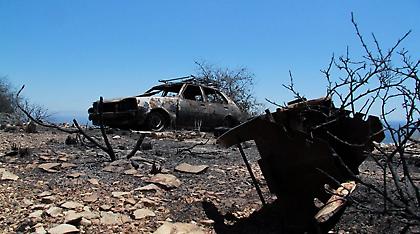 Φωτιά στη Μάνη: Σε ύφεση τα μέτωπα - Μηνυτήρια αναφορά από την αντιπεριφερειάρχη Λακωνίας