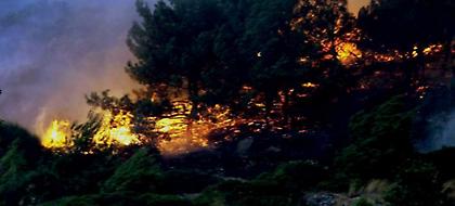 Σε εξέλιξη πυρκαγιά στον ορεινό όγκο της Ροδόπης