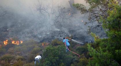 Μεγάλη φωτιά σε δασική έκταση στο Μικροχώρι Ωρωπού