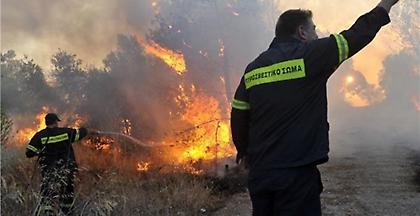 Φωτιά σε δασική έκταση της Μεταξάδας Μεσσηνίας