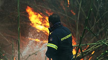 Σε ύφεση η φωτιά στην Ανατολή Ιεράπετρας