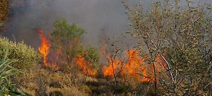 Φωτιές ξέσπασαν σε Κύθηρα και Μαγνησία