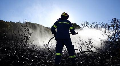 Συνελήφθη 42χρονος για τη φωτιά στα Κύθηρα - Το «κάπνισμα» μελισσών τον έβαλε σε μπελάδες