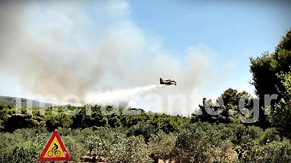 Συνεχίζει να καίει η φωτιά στις Βολίμες Ζακύνθου