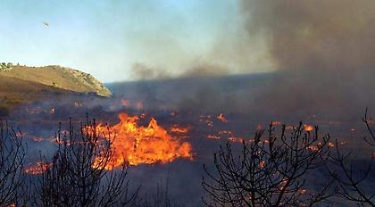 Σαράντα οκτώ δασικές πυρκαγιές εκδηλώθηκαν σε όλη την Ελλάδα το τελευταίο 24ωρο
