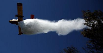 Χιλιάδες στρέμματα καμένου δάσους στις Ορθωνιές Ζακύνθου