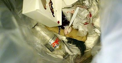 Τα σκουπίδια της μοντέρνας διατροφής