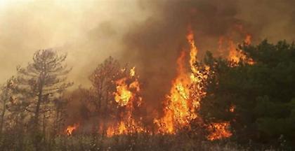 Ολονύχτια μάχη με τη φωτιά στη Λευκίμη Σουφλίου