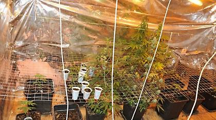 Θερμοκήπιο με... κοκαΐνη, ηρωίνη, χάπια και χασίς στην Ιεράπετρα!