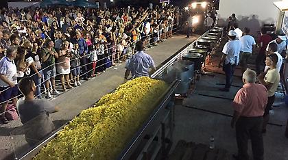 Νάξος: Τηγανίζουν, τηγανίζουν και πάνε για ρεκόρ Γκίνες!