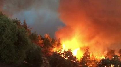 Πορτογαλία: Νέες δασικές πυρκαγιές μαίνονται στο βόρειο και στο κεντρικό τμήμα της χώρας