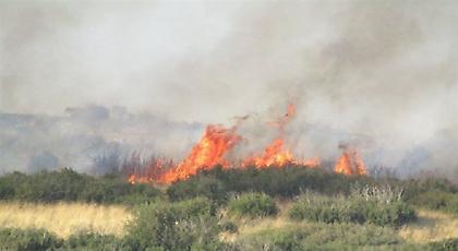 Ιωάννινα: Ανεξέλεγκτη φωτιά κοντά στην Πανεπιστημιούπολη