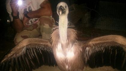 Διάσωση… μέσω θαλάσσης στα Σφακιά