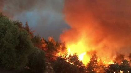 «Πύρινη κόλαση»: Εκκενώνονται δέκα χωριά στην Κεντρική Πορτογαλία