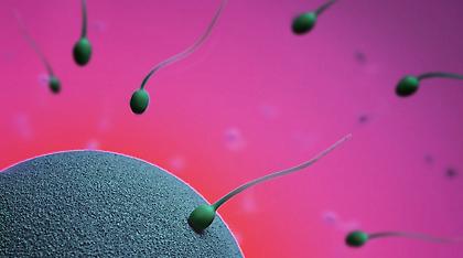 Χάνεται το ανδρικό σπέρμα - 60% μείωση τα τελευταία 40 χρόνια