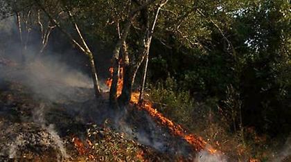 Σε ύφεση η πυρκαγιά που καίει από χτες το όρος Παντοκράτορα στην Κέρκυρα