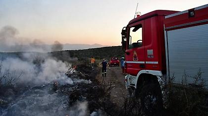 Ηλεία: Φωτιά σε αγροτικές εκτάσεις στην περιοχή της Σμίλας