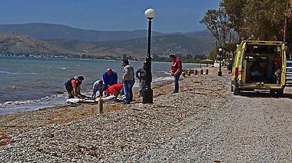 Πιερία: 71χρονος ανασύρθηκε νεκρός από την παραλία