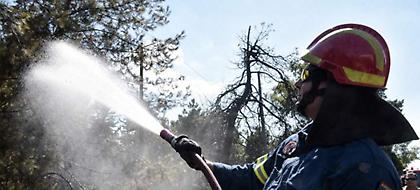 Σε εξέλιξη πυρκαγιά στο Πικέρμι –Πνέουν ισχυροί άνεμοι στην περιοχή