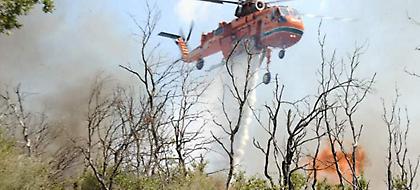 Καίγεται ελατόδασος στην Ευρυτανία-Δίπλα από τις Κορυσχάδες